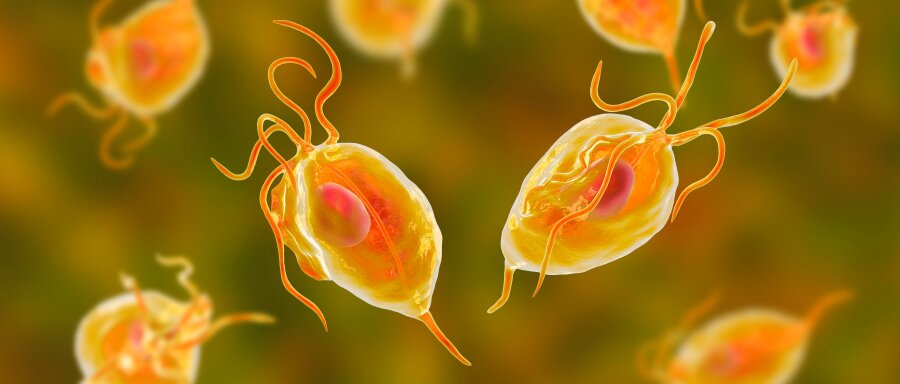 myCROBE® PCR STI Kits